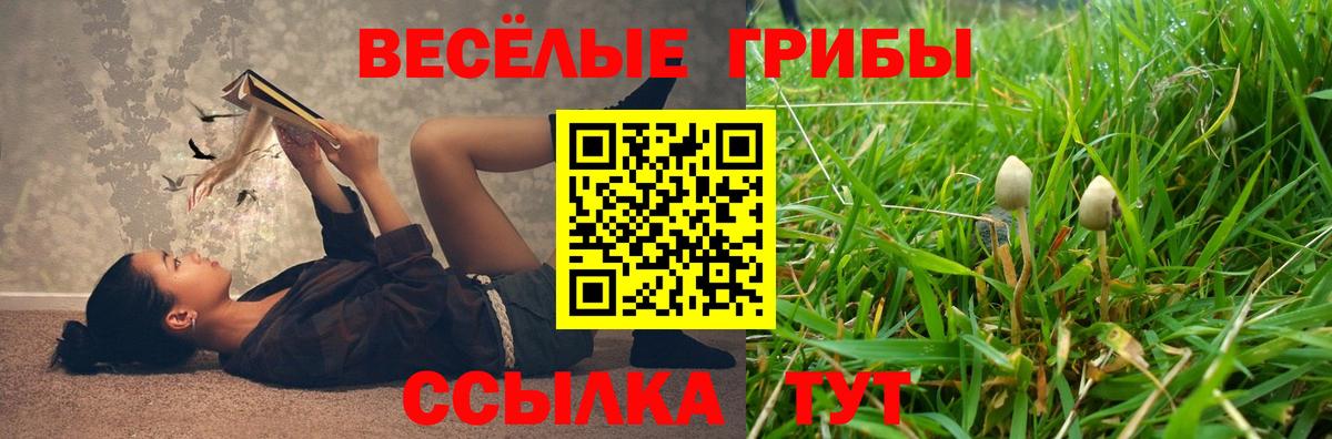 Ростов Великий  Псилоцибиновые грибы мицелий  Галлюциногенные грибы прущие грибы  Вход с VPN 